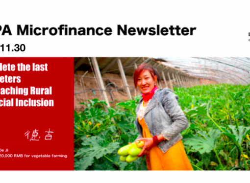 CFPA Microfinance Newsletter (No.12)