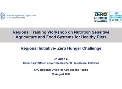 Regional Training Workshop on Nutrition Sensitive Agriculture and Food Systems for Healthy Diets