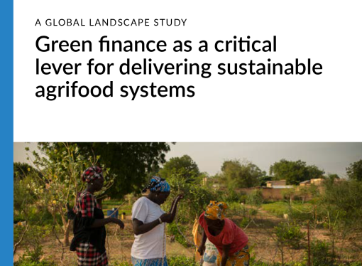 Congratulations!! Dr. Prasun Kumar Das, APRACA Secretary General to lead the FAO publication on ‘Green Finance as a Critical Lever for Delivering Sustainable Agrifood System- A Global Landscape  study along with Dr. Azeta Cungu of FAO.  This document is an inclusive commentary on the current status of green finance to agrifood sector in the global south and its support system and may be useful for discussion for the upcoming COP28 in Dubai.