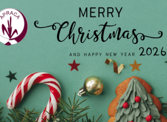 Merry Christmas and Happy New Year 2026