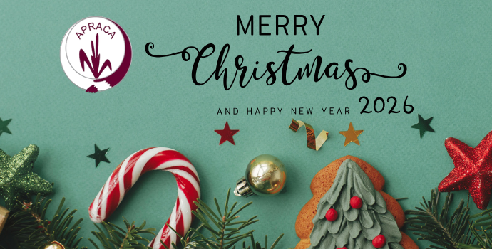 Merry Christmas and Happy New Year 2026